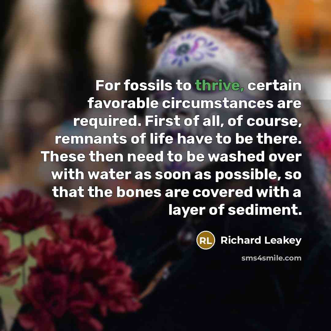 “For fossils to thrive, certain favorable circumstances are required. First…” quote by Richard Leakey