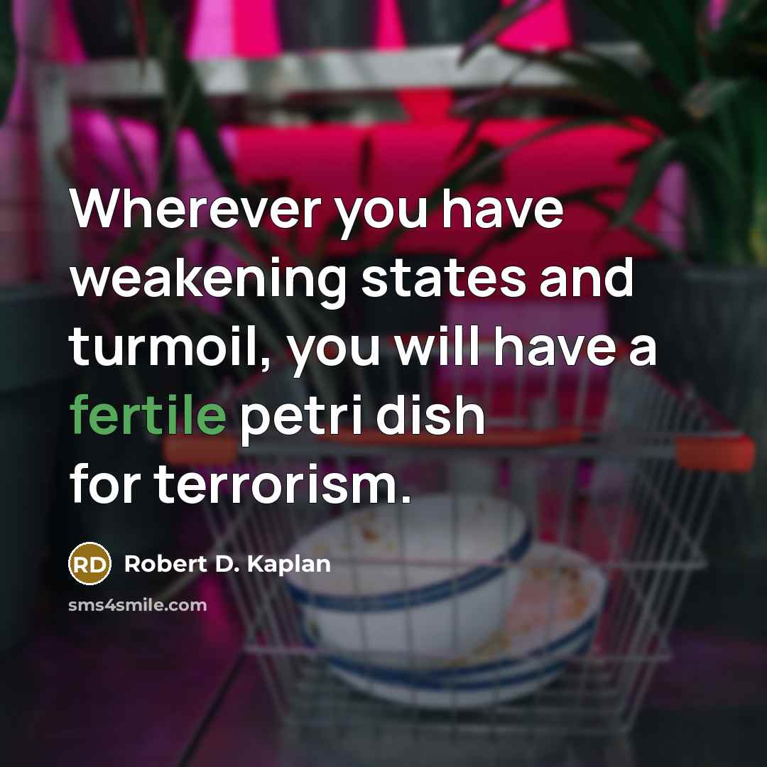 “Wherever you have weakening states and turmoil, you will have…” quote by Robert D. Kaplan