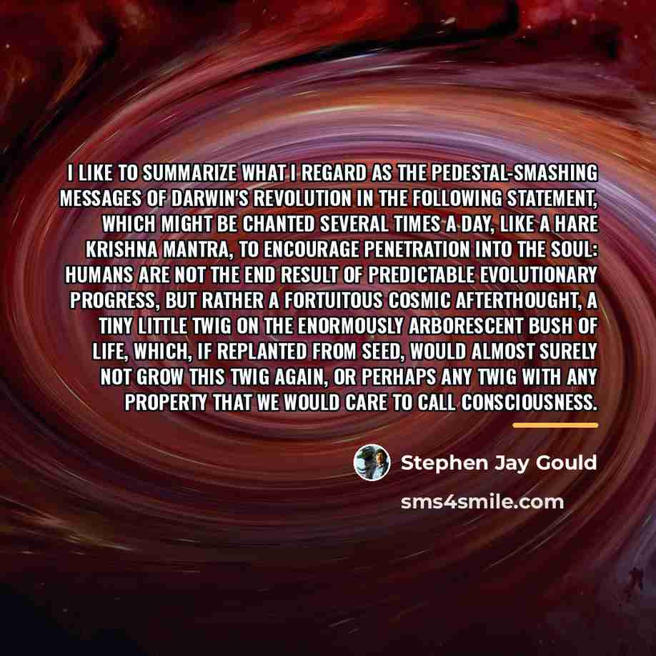“I like to summarize what I regard as the pedestal-smashing…” quote by Stephen Jay Gould