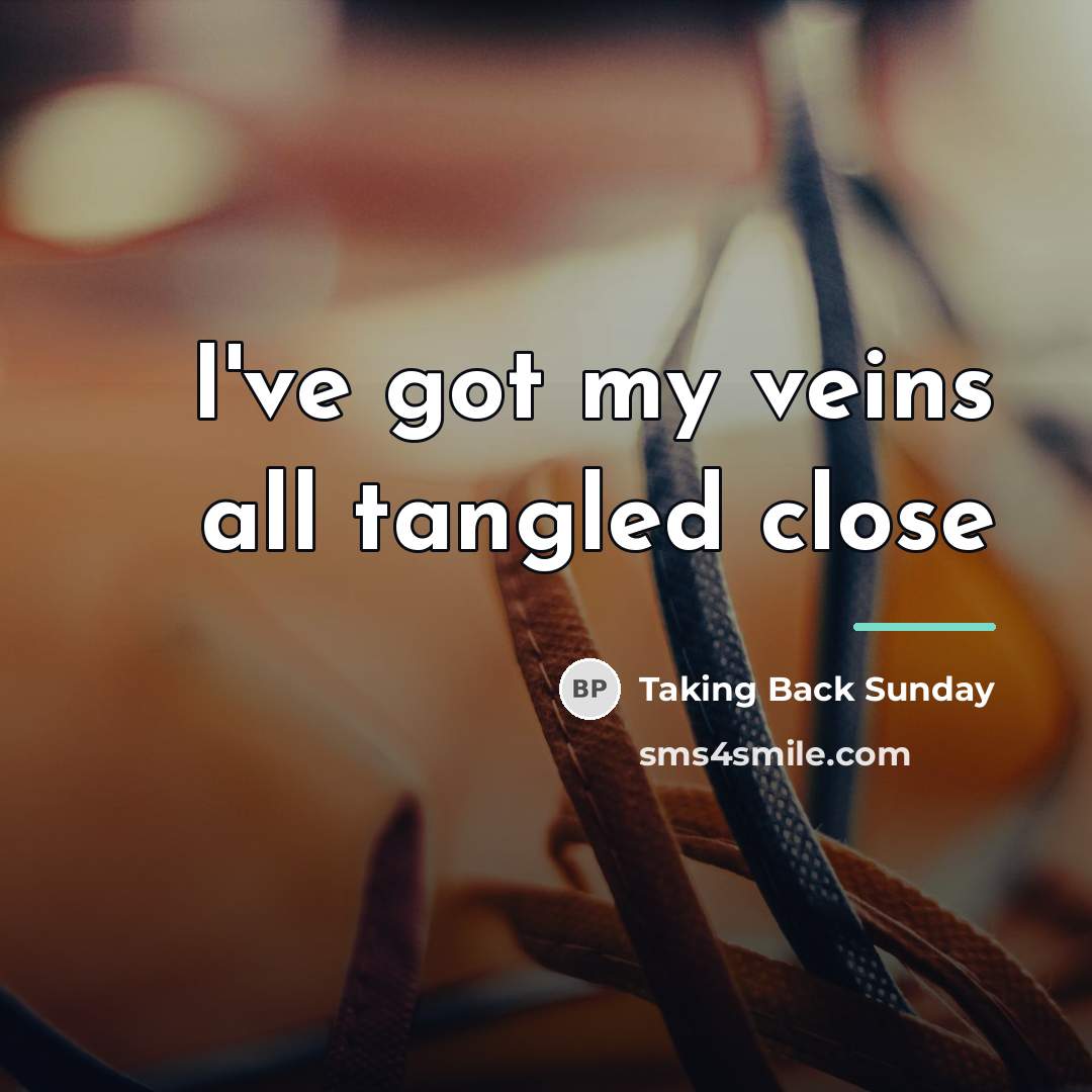 “I've got my veins all tangled close…” quote by Taking Back Sunday