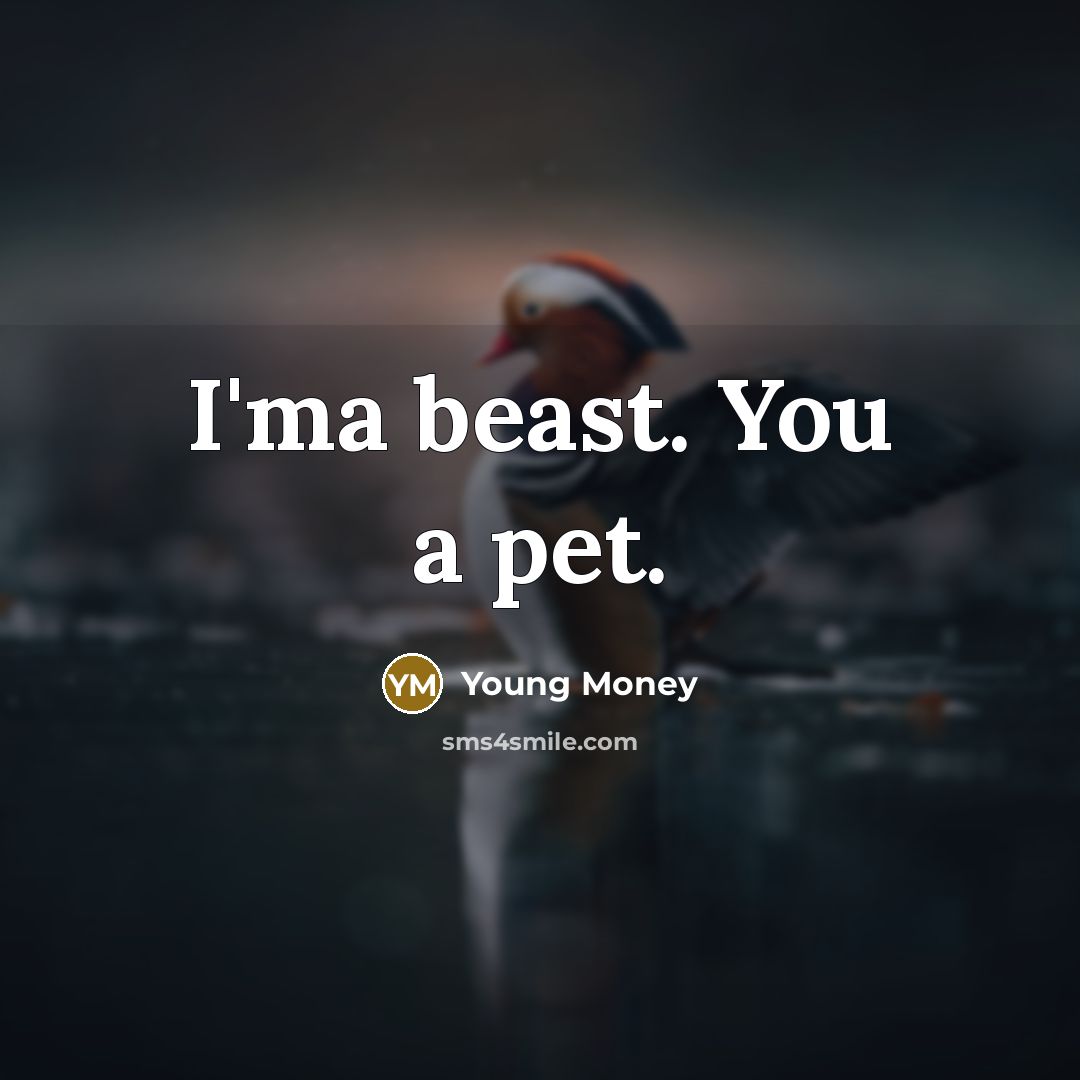 “I'ma beast. You a pet.…” quote by Young Money