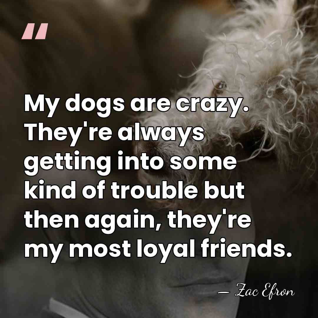 My dogs are crazy. They're always getting into some kind of trouble&hellip; - Zac Efron