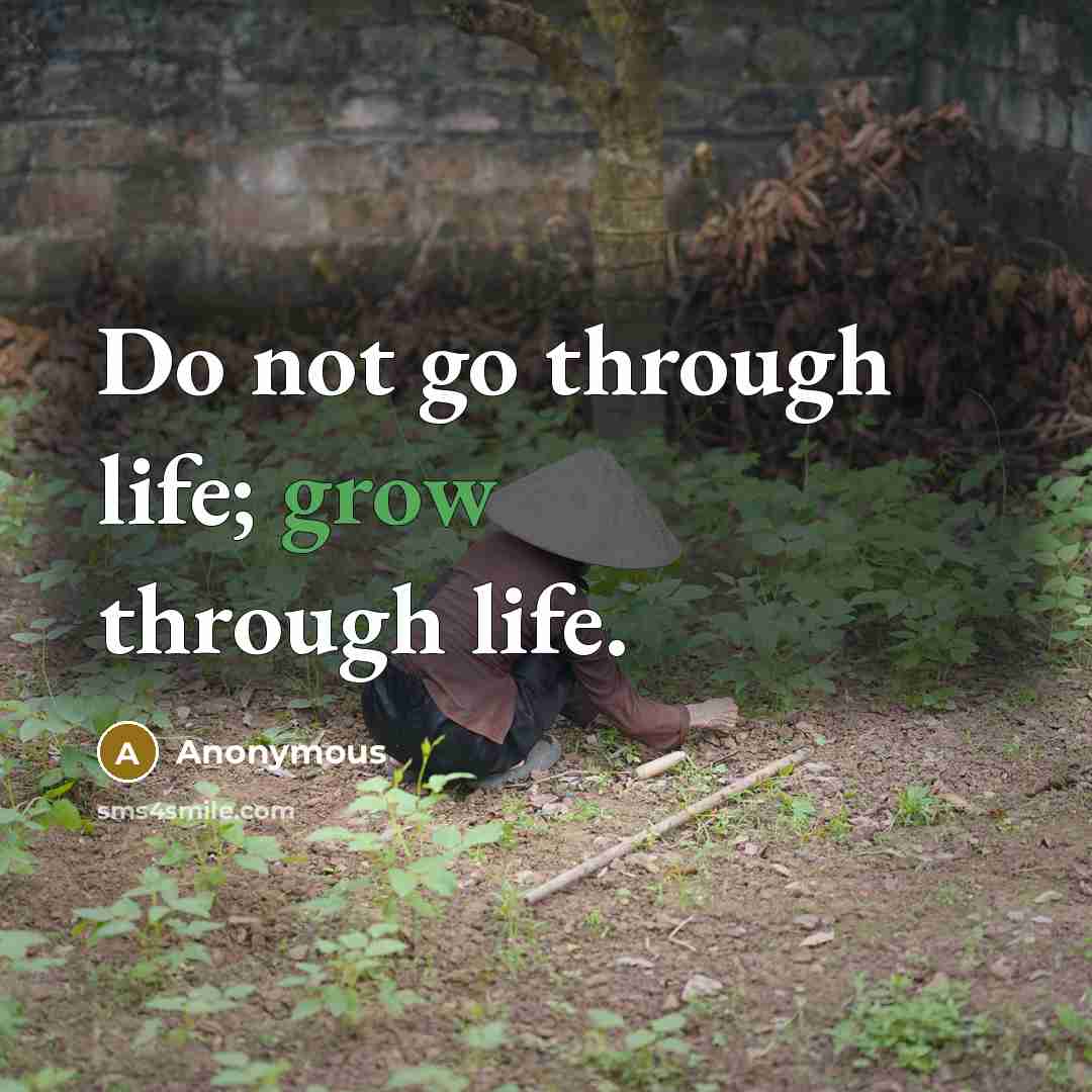 “Do not go through life; grow through life.…” quote by Anonymous