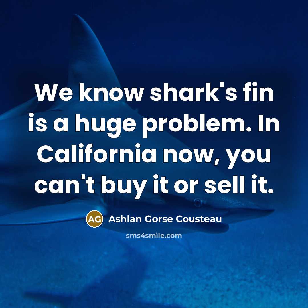 “We know shark's fin is a huge problem. In California…” quote by Ashlan Gorse Cousteau