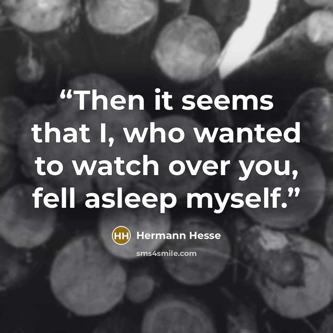 “Then it seems that I, who wanted to watch over you, fell asleep myself.” quote by Hermann Hesse
