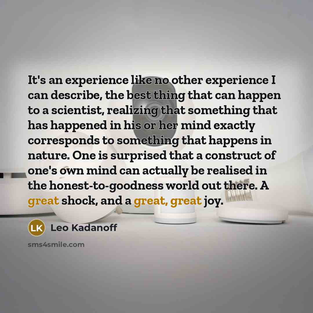 “It's an experience like no other experience I can describe,…” quote by Leo Kadanoff