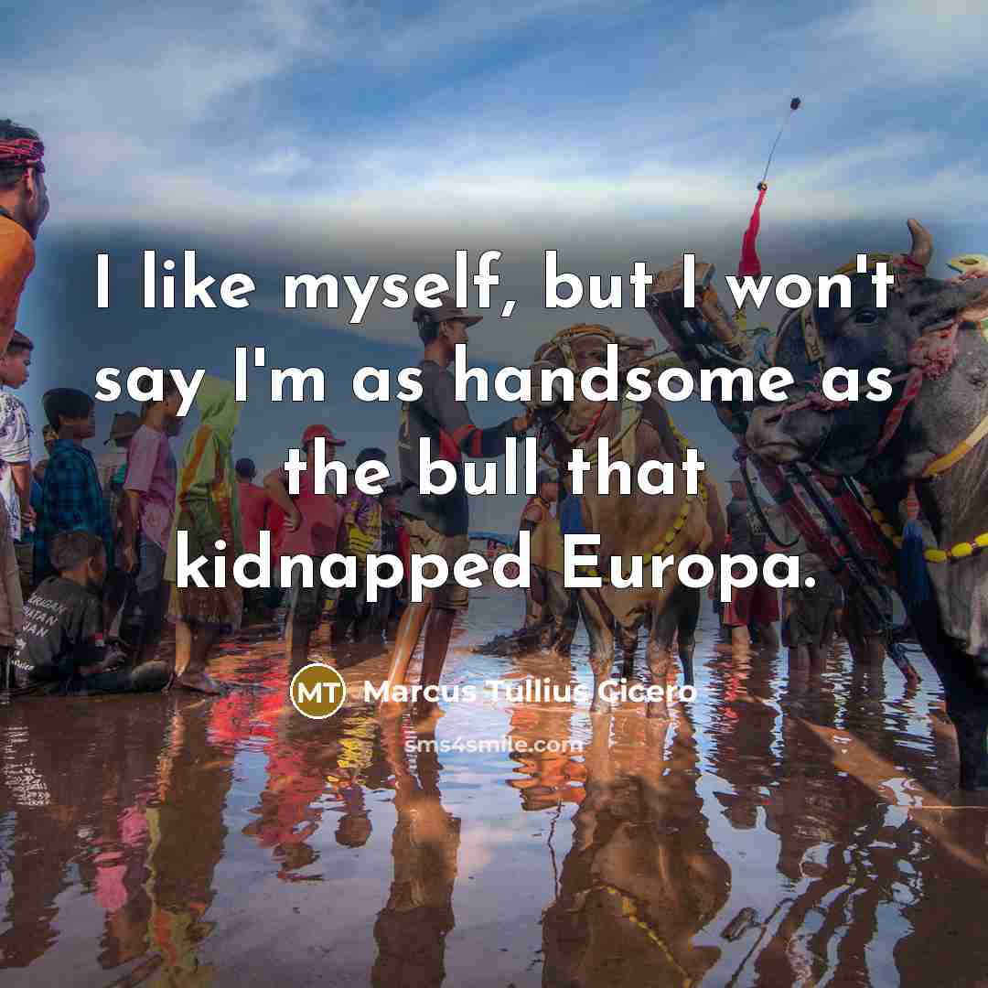 “I like myself, but I won't say I'm as handsome…” quote by Marcus Tullius Cicero
