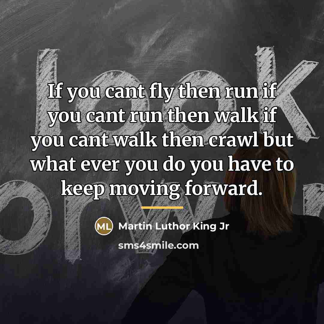 “If you cant fly then run if you cant run…” quote by Anonymous