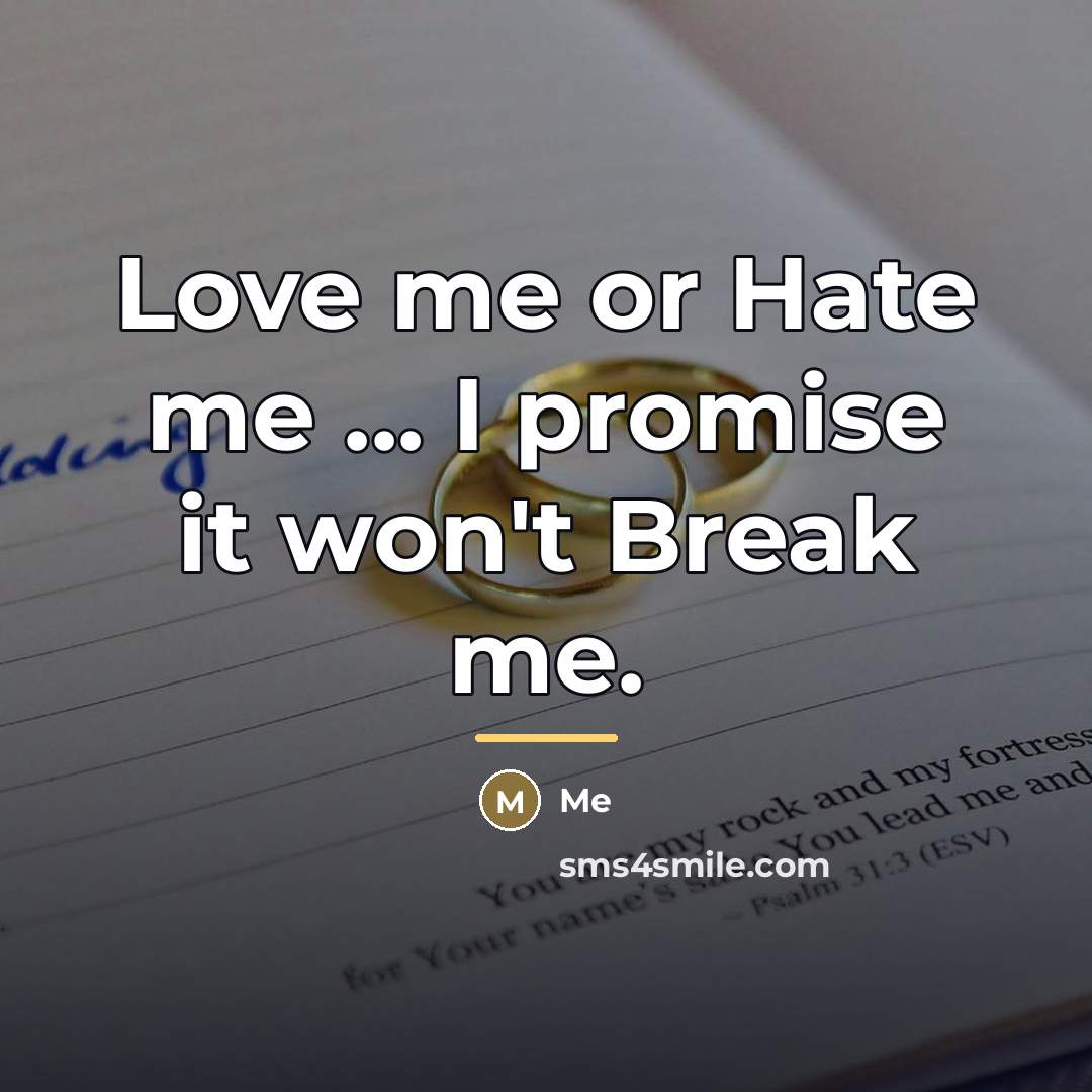 “Love me or Hate me ... I promise it won't…” quote by Me