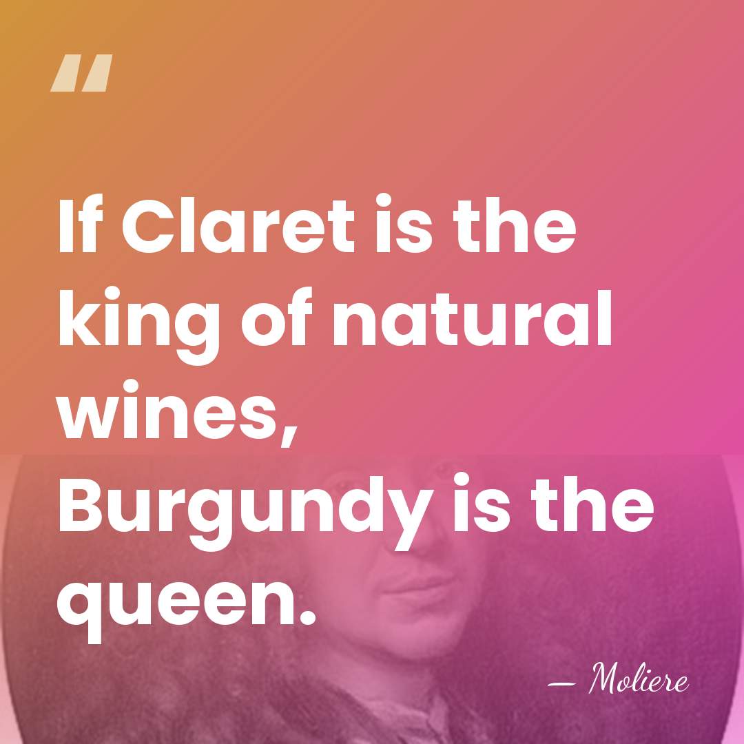 If Claret is the king of natural wines, Burgundy is the queen. - Moliere