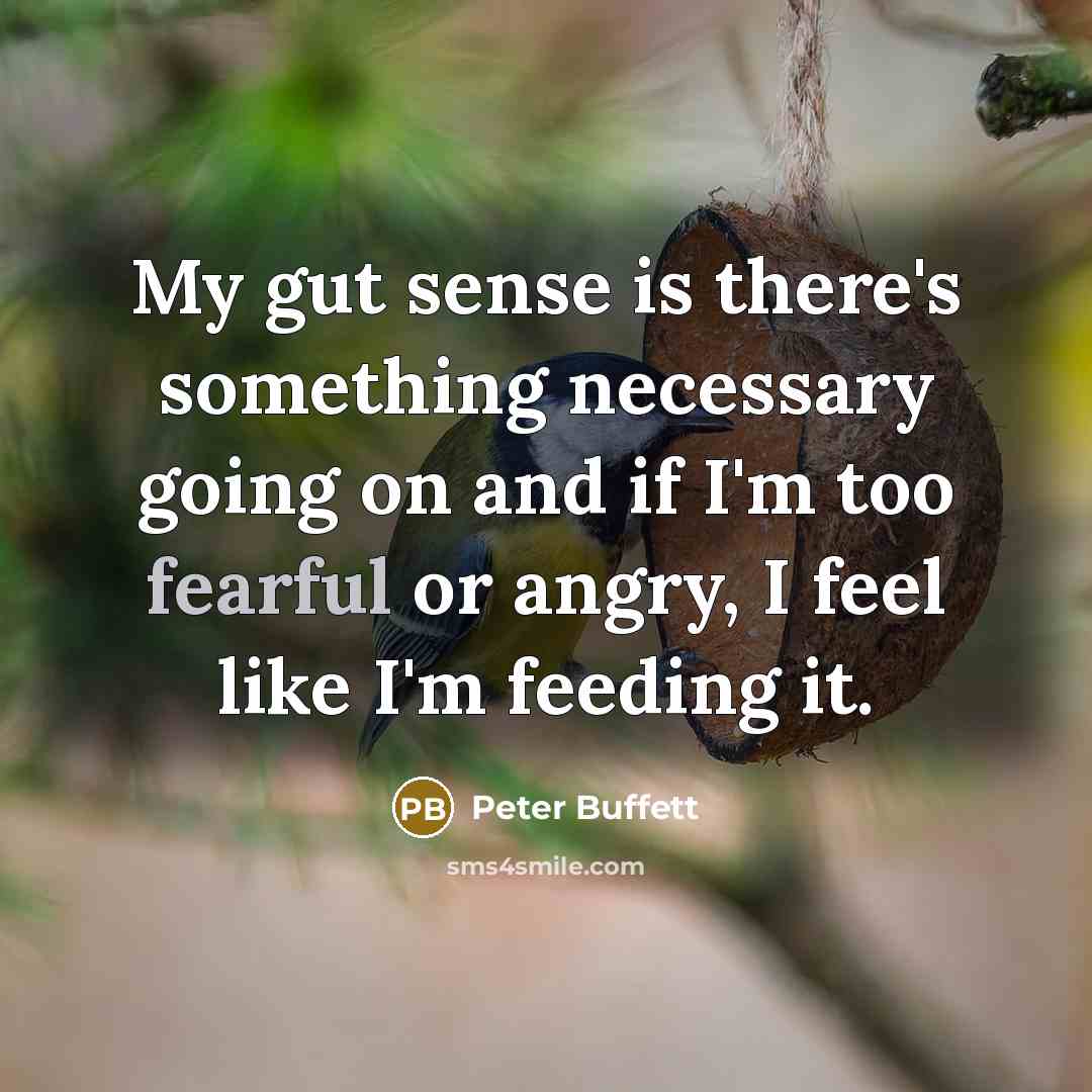 “My gut sense is there's something necessary going on and…” quote by Peter Buffett