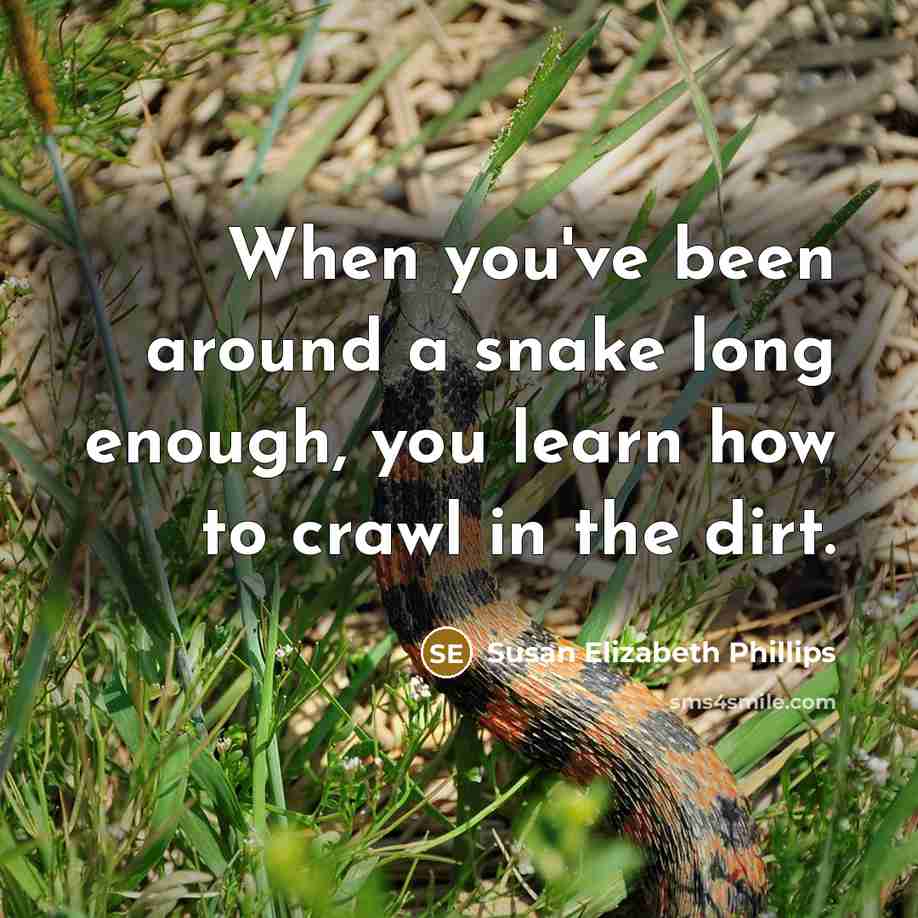 “When you've been around a snake long enough, you learn…” quote by Susan Elizabeth Phillips