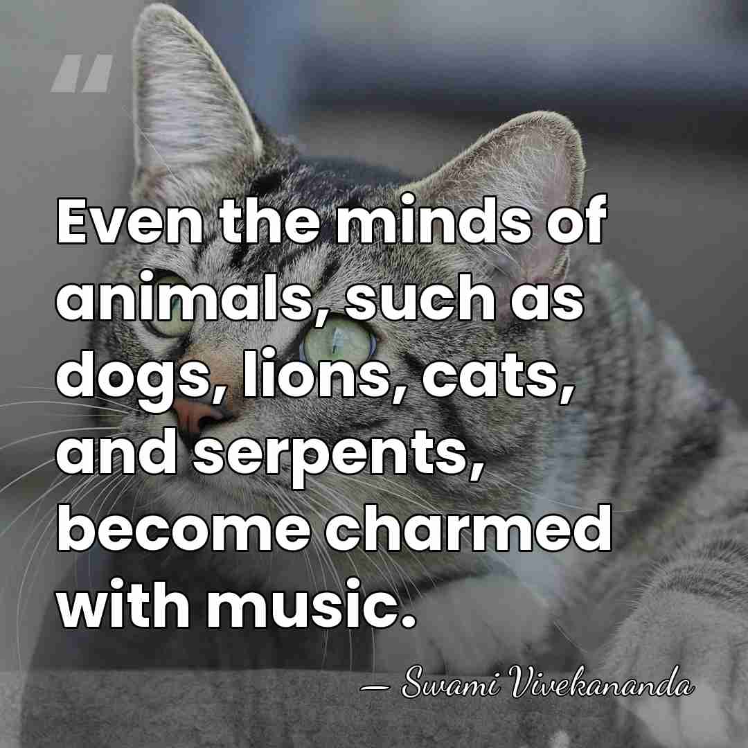 Even the minds of animals, such as dogs, lions, cats, and serpents,&hellip; - Swami Vivekananda