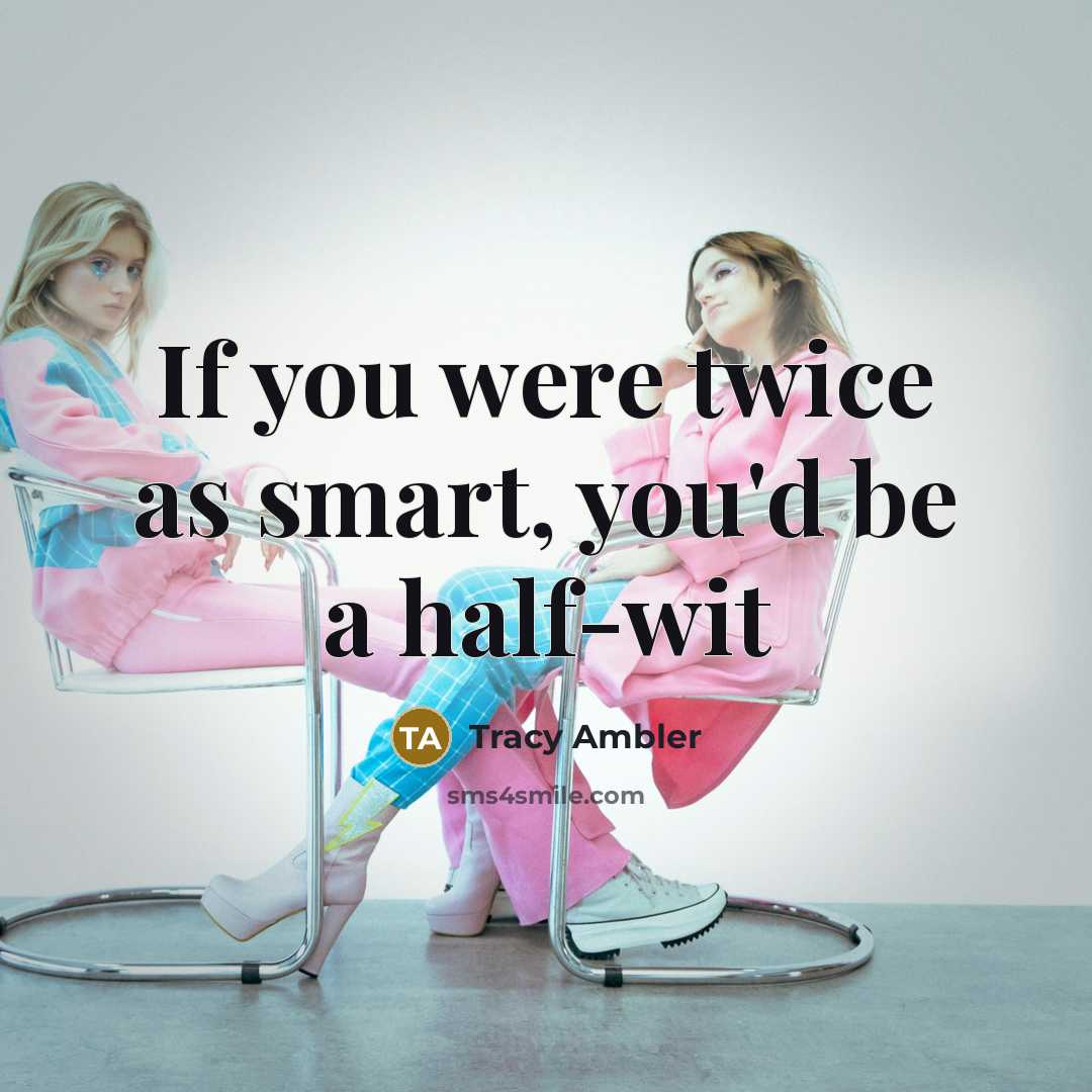 “If you were twice as smart, you'd be a half-wit…” quote by Tracy Ambler