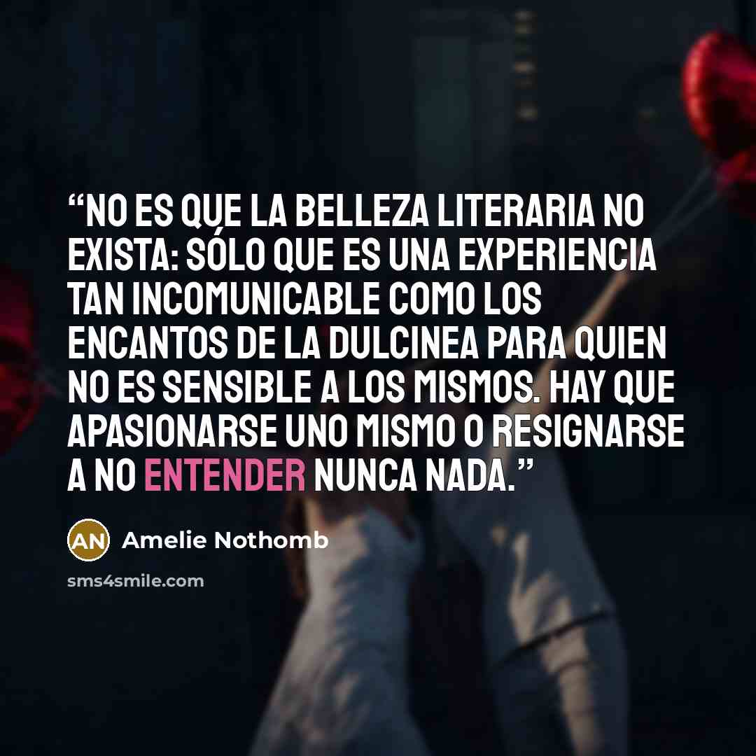 “No es que la belleza literaria no exista: sólo que es una experiencia tan incomunicable como los encantos de la Dulcinea para quien no es sensible a los mismos. Hay que apasionarse uno mismo o resignarse a no entender nunca nada.” quote by Amélie Nothomb