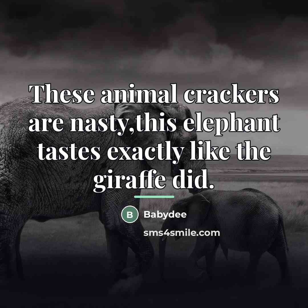 “These animal crackers are nasty,this elephant tastes exactly like the…” quote by Anonymous