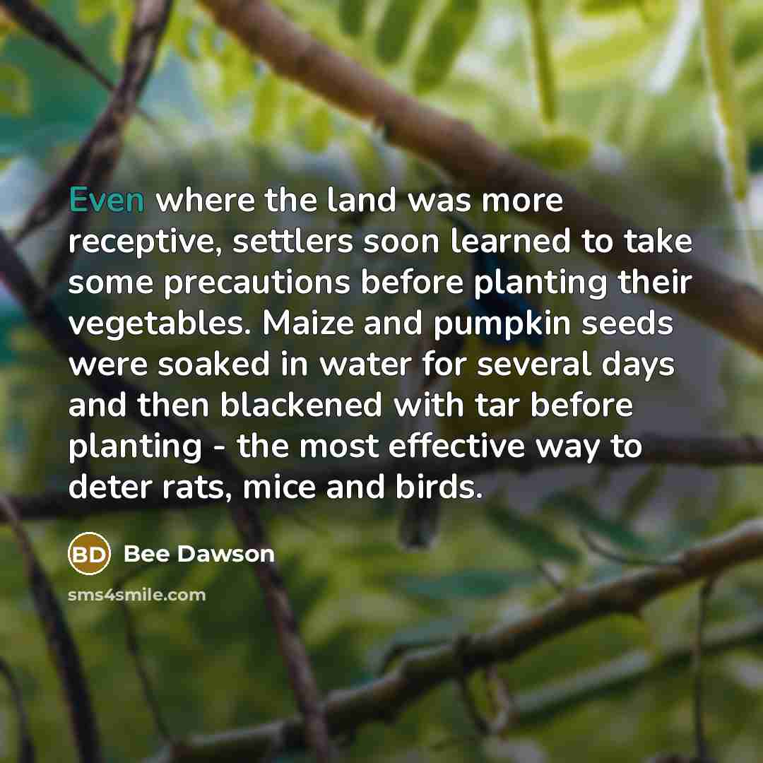 “Even where the land was more receptive, settlers soon learned…” quote by Bee Dawson