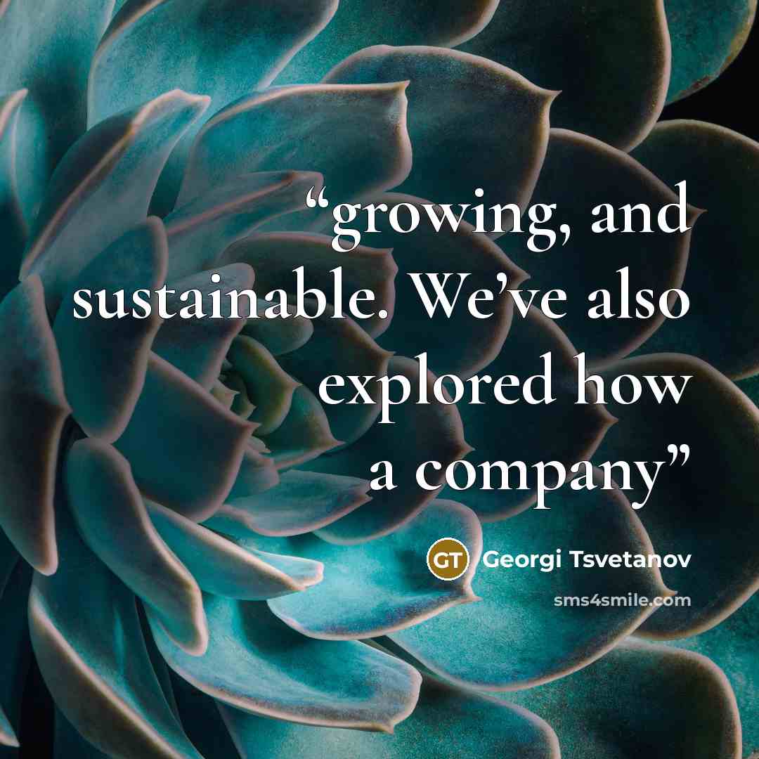 “growing, and sustainable. We’ve also explored how a company” quote by Georgi Tsvetanov