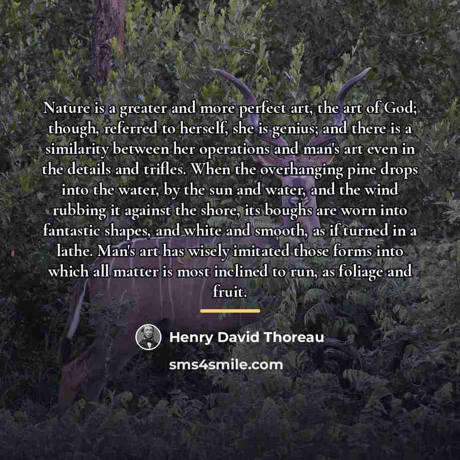 “Nature is a greater and more perfect art, the art…” quote by Henry David Thoreau