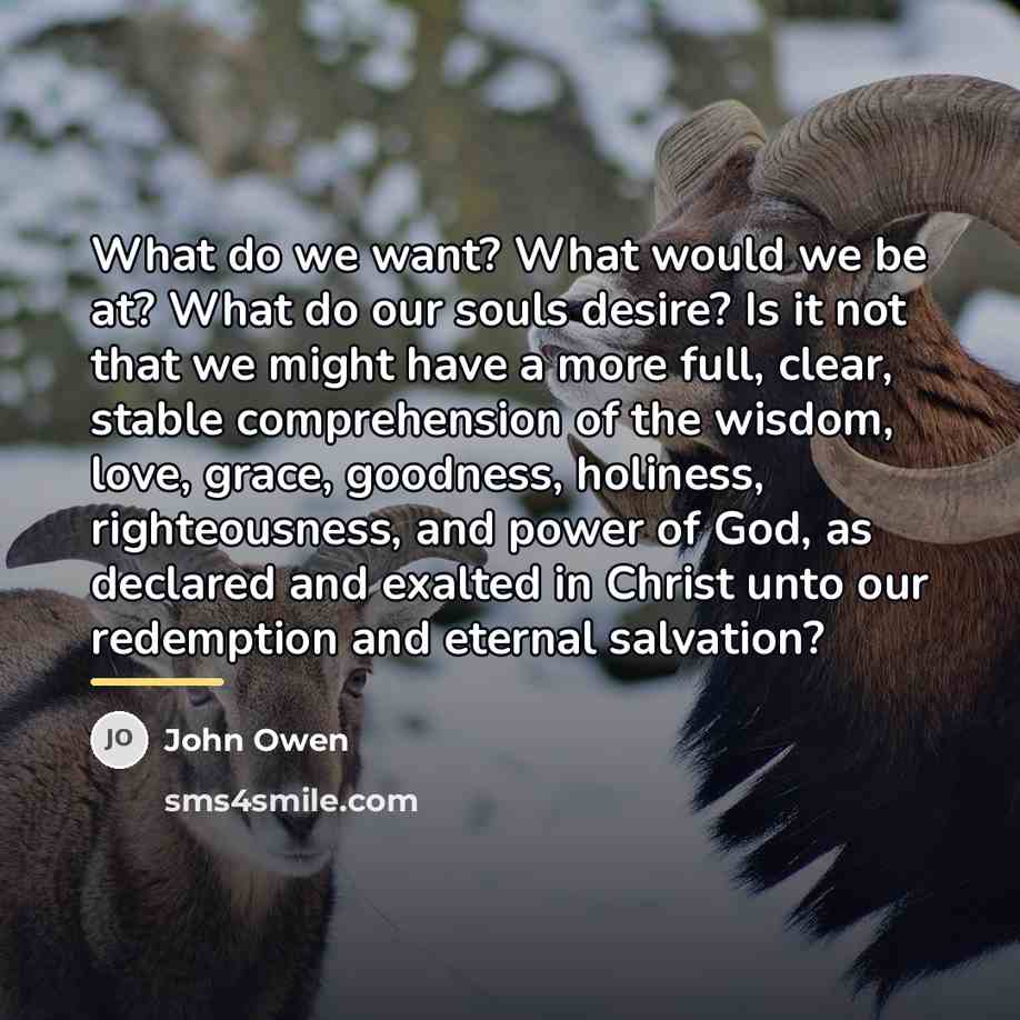 “What do we want? What would we be at? What…” quote by John Owen