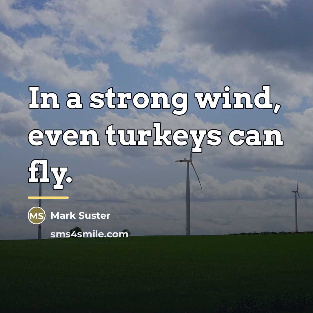 “In a strong wind, even turkeys can fly.…” quote by Mark Suster