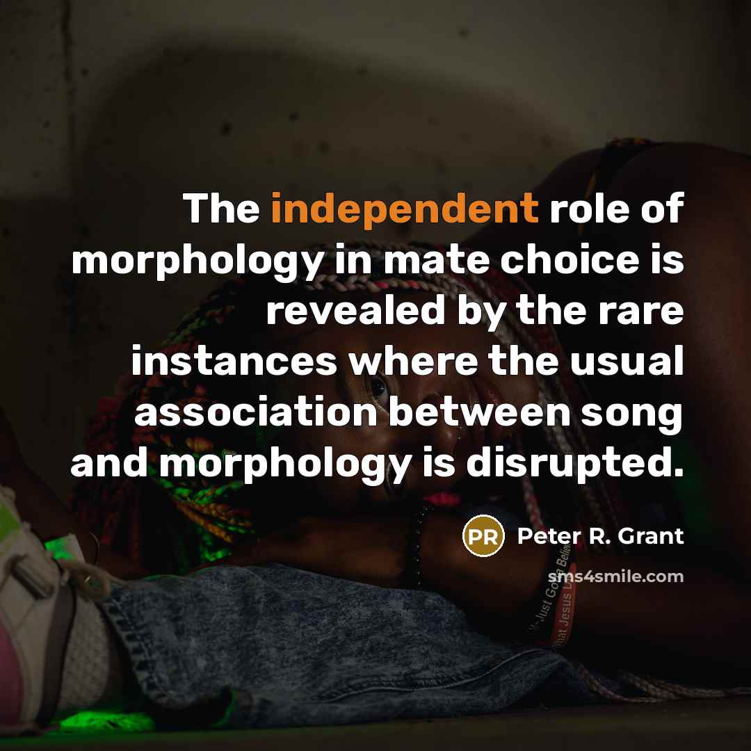 “The independent role of morphology in mate choice is revealed…” quote by Peter R. Grant