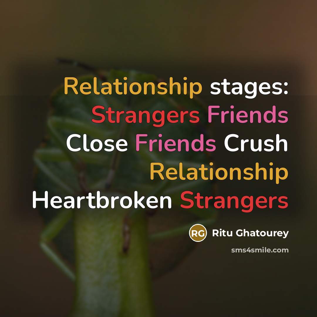 “Relationship stages: Strangers Friends Close Friends Crush Relationship Heartbroken Strangers…” quote by Ritu Ghatourey