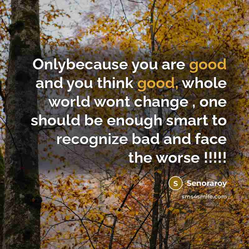 “Onlybecause you are good and you think good, whole world wont change , one should be enough smart to recognize bad and face the worse !!!!!” quote by Senoraroy