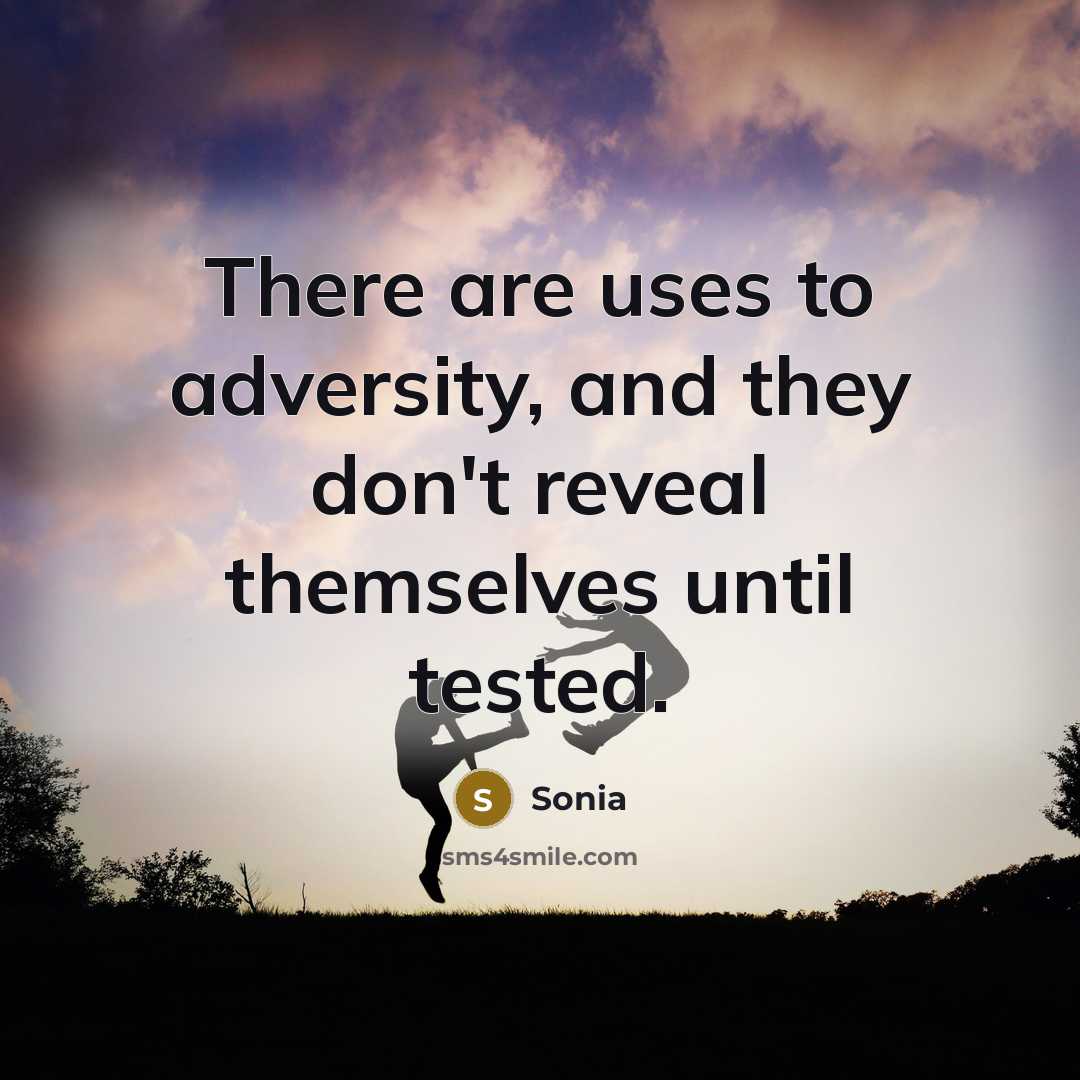 “There are uses to adversity, and they don't reveal themselves…” quote by Sonia