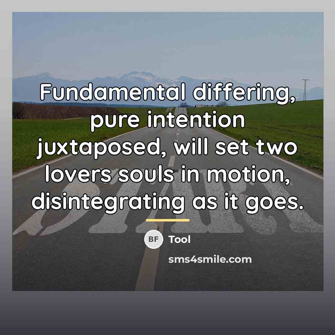 “Fundamental differing, pure intention juxtaposed, will set two lovers souls…” quote by Tool