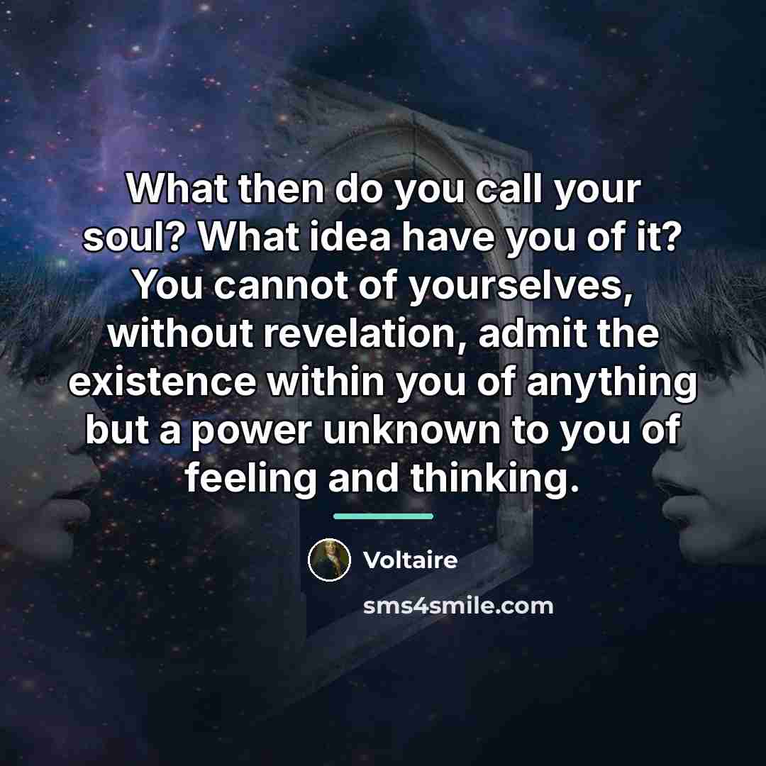 “What then do you call your soul? What idea have…” quote by Voltaire