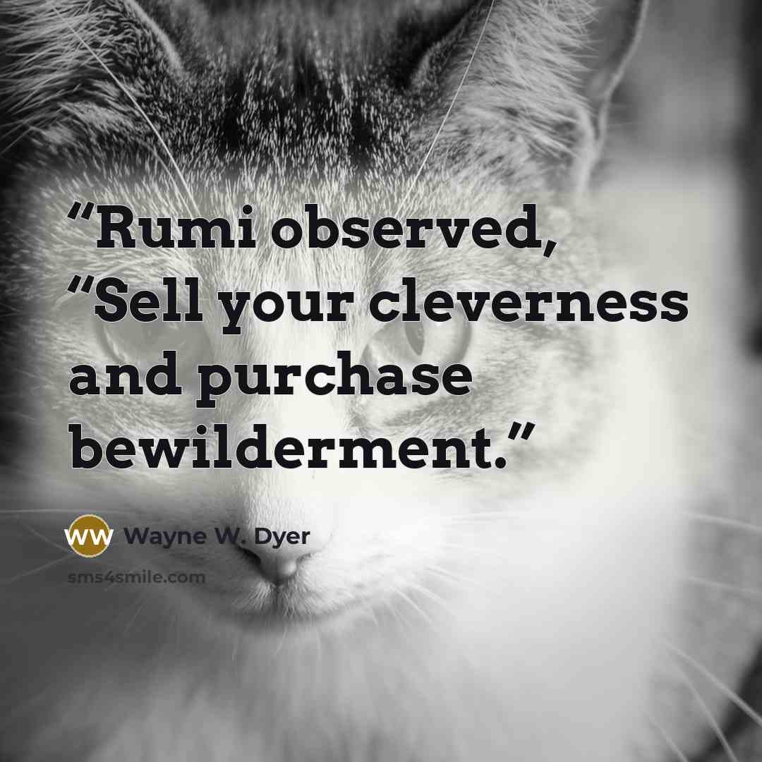 “Rumi observed, “Sell your cleverness and purchase bewilderment.” quote by Wayne W. Dyer