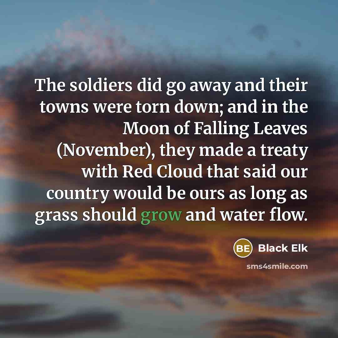 “The soldiers did go away and their towns were torn…” quote by Black Elk