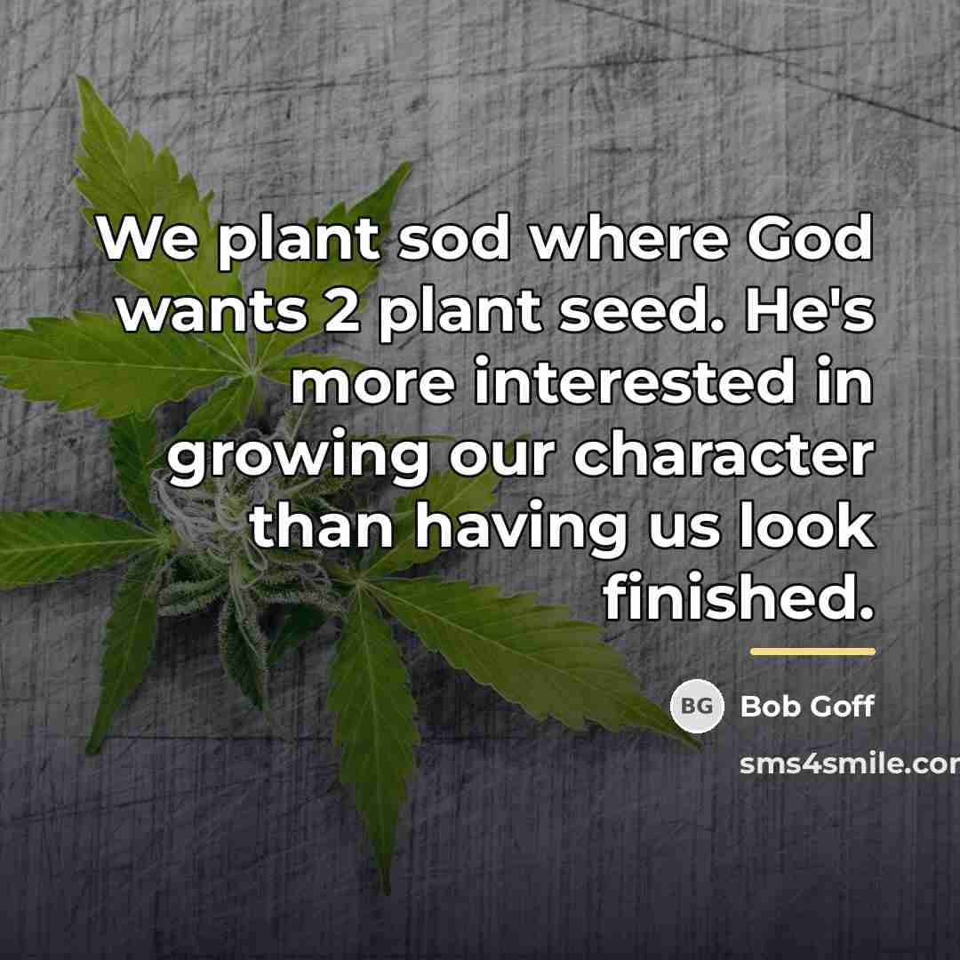 “We plant sod where God wants 2 plant seed. He's…” quote by Bob Goff