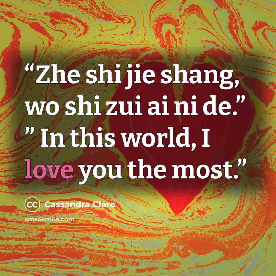 “Zhe shi jie shang, wo shi zui ai ni de.” ” In this world, I love you the most.” quote by Cassandra Clare