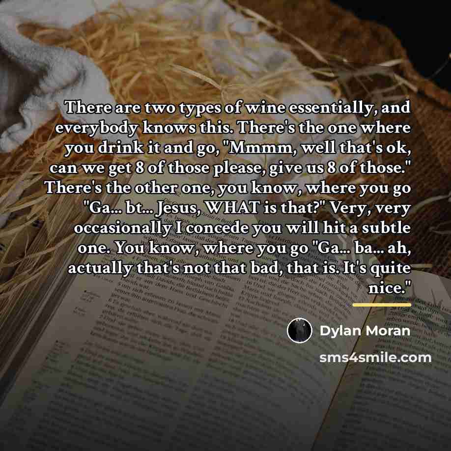 “There are two types of wine essentially, and everybody knows…” quote by Dylan Moran