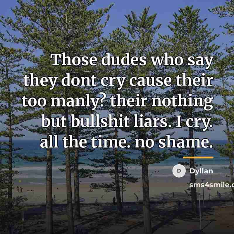 “Those dudes who say they dont cry cause their too…” quote by Dyllan