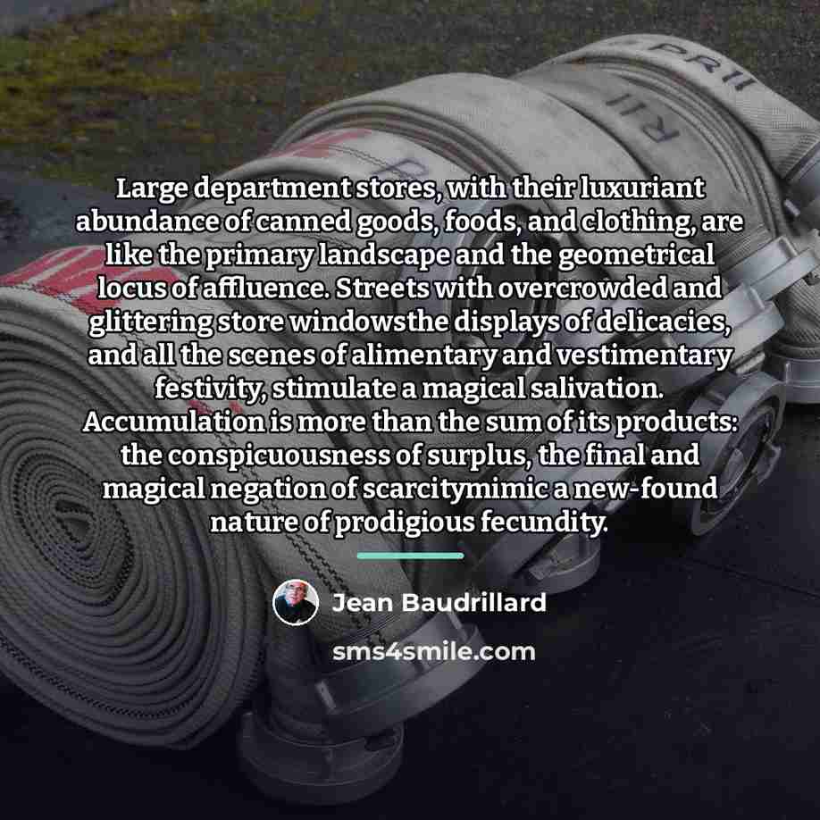 “Large department stores, with their luxuriant abundance of canned goods,…” quote by Jean Baudrillard