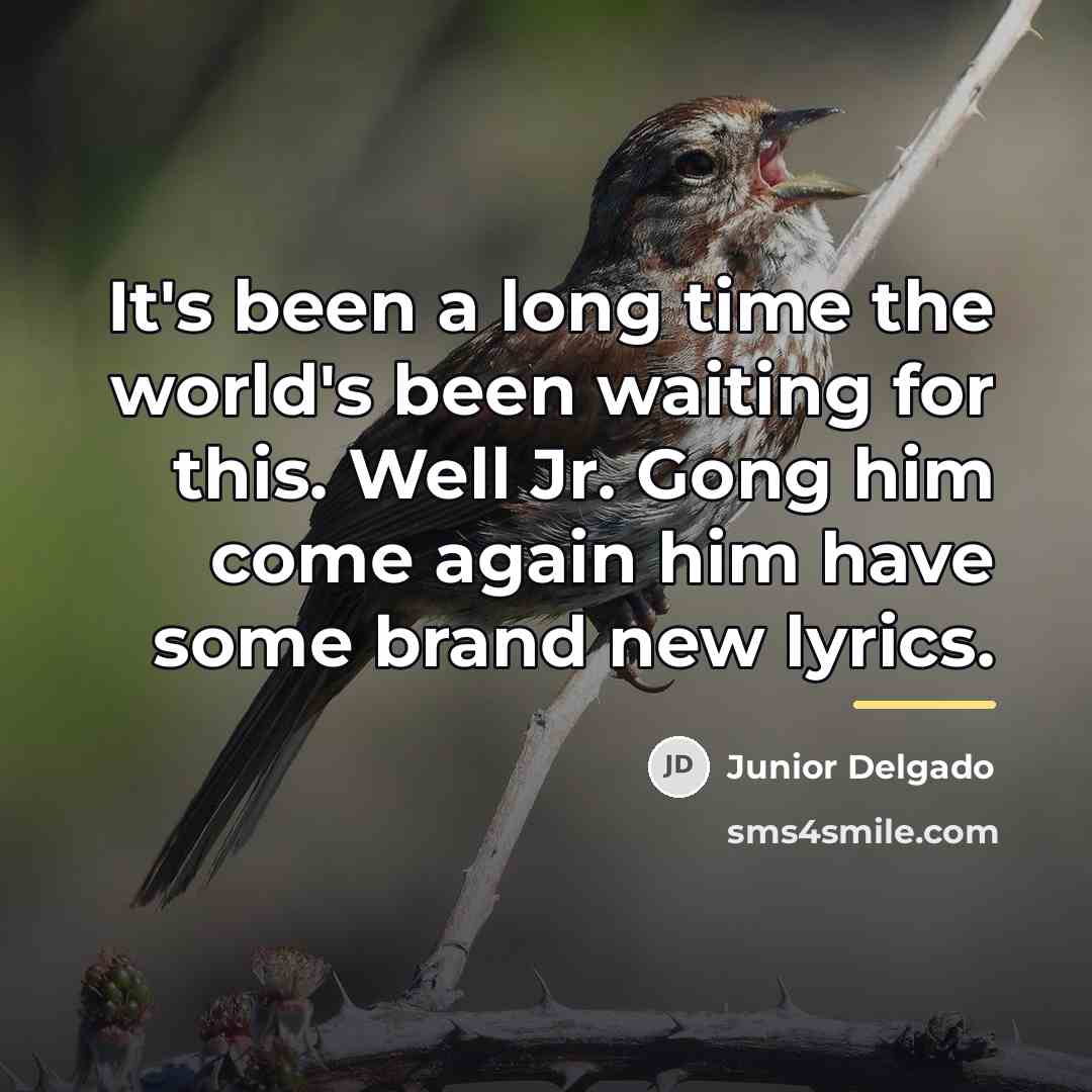“It's been a long time the world's been waiting for…” quote by Junior Delgado