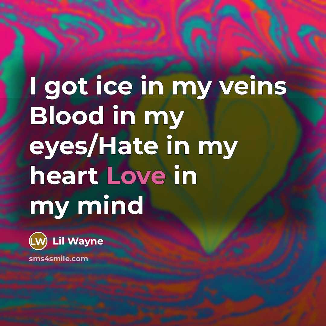 “I got ice in my veins Blood in my eyes/Hate…” quote by Lil Wayne
