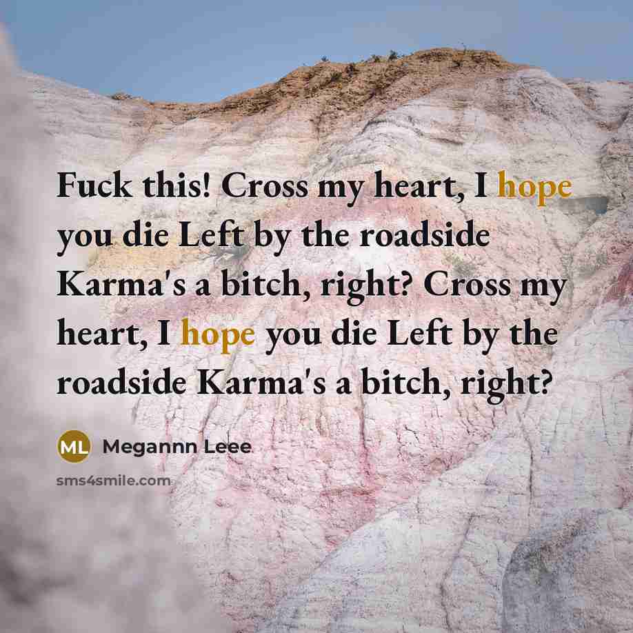 “Fuck this! Cross my heart, I hope you die Left by the roadside Karma's a bitch, right? Cross my heart, I hope you die Left by the roadside Karma's a bitch, right?” quote by Megannn Leee