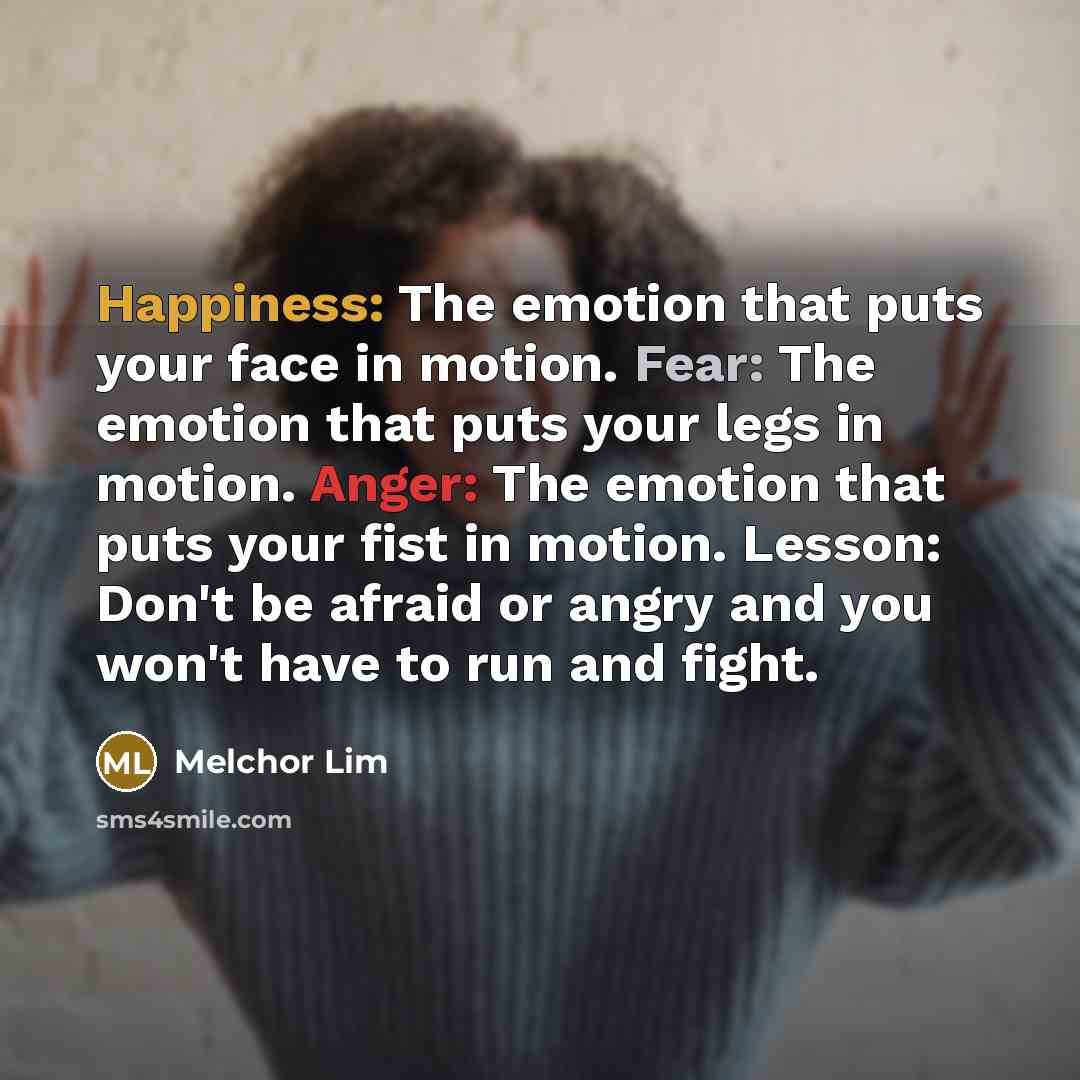 “Happiness: The emotion that puts your face in motion. Fear:…” quote by Melchor Lim