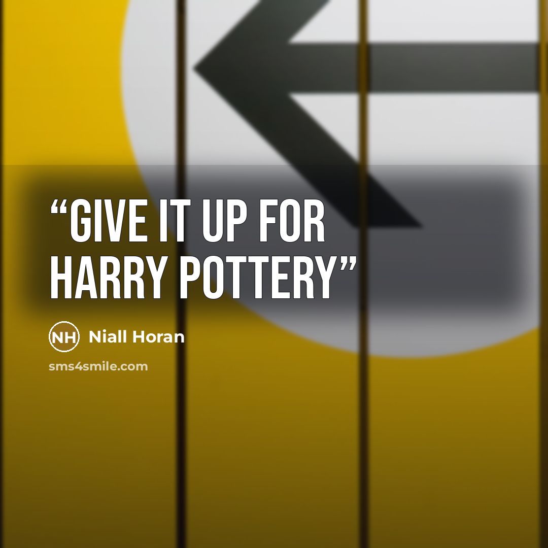 “Give it up for Harry Pottery” quote by Niall Horan