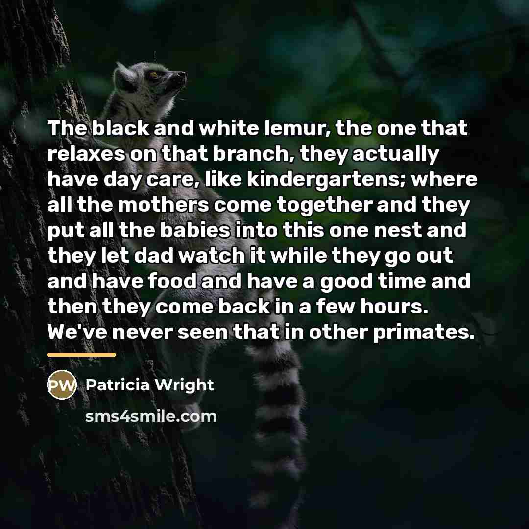 “The black and white lemur, the one that relaxes on…” quote by Patricia Wright