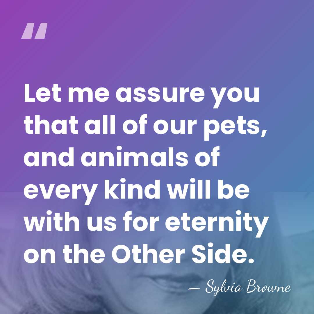 Let me assure you that all of our pets, and animals of&hellip; - Sylvia Browne