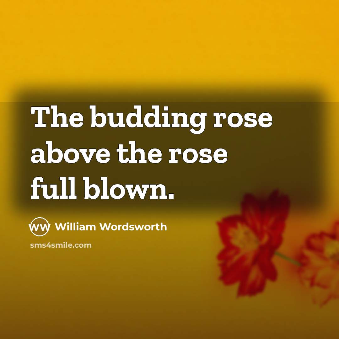 “The budding rose above the rose full blown.…” quote by William Wordsworth