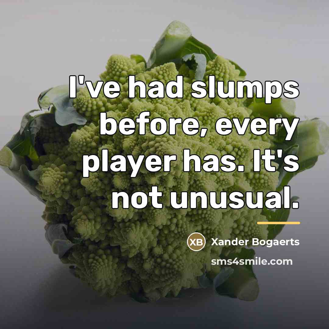 “I've had slumps before, every player has. It's not unusual.…” quote by Xander Bogaerts