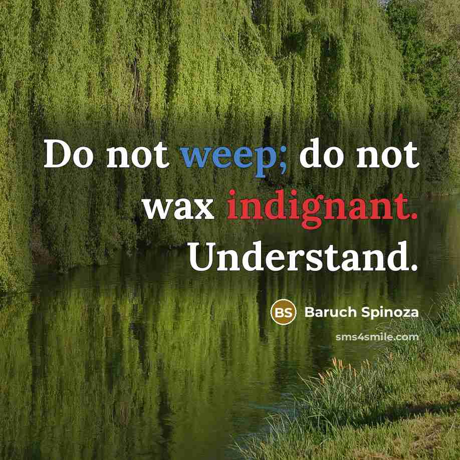 “Do not weep; do not wax indignant. Understand.” quote by Baruch Spinoza