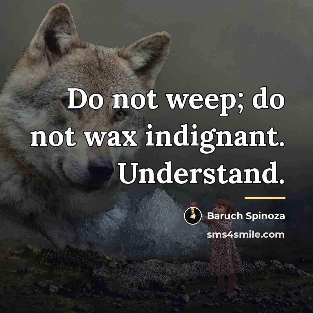“Do not weep; do not wax indignant. Understand.…” quote by Baruch Spinoza