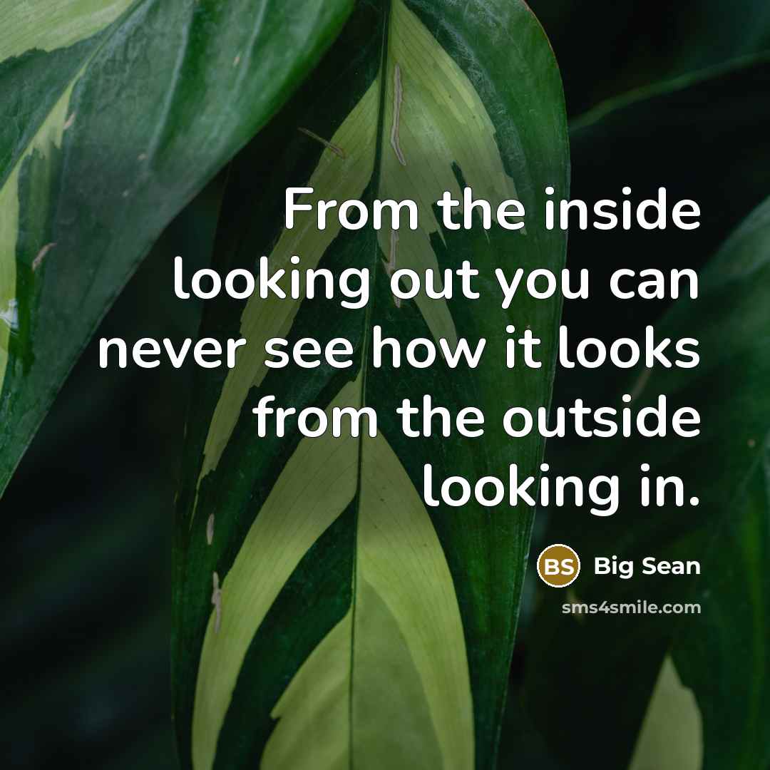 “From the inside looking out you can never see how it looks from the outside looking in.” quote by Big Sean
